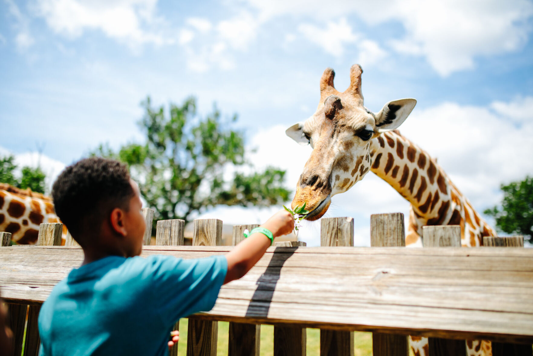 COM-ZooFreeAdmission-Photo2